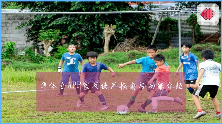 华体会APP官网使用指南与功能介绍