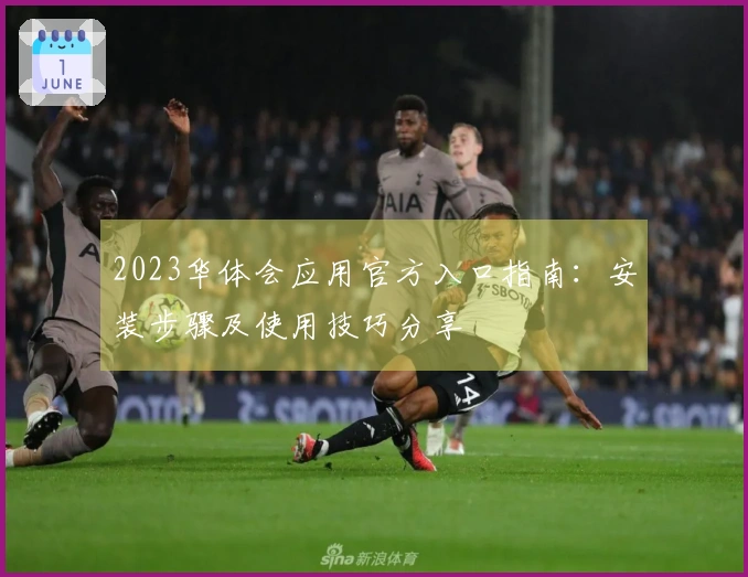 2023华体会应用官方入口指南：安装步骤及使用技巧分享